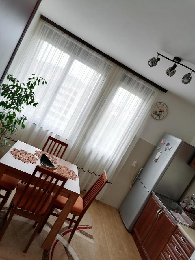 Apartman Lena Arandelovac Buitenkant foto